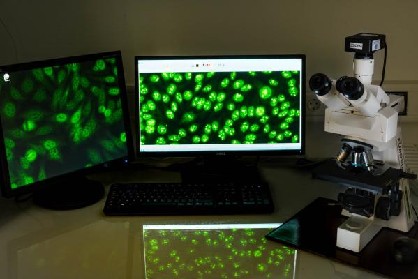 Immuno-Pathologie