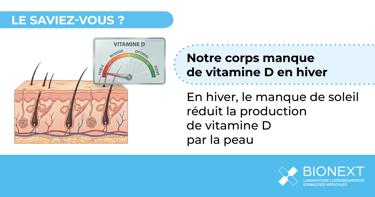 Illustration montrant pourquoi la production de vitamine D par la peau diminue en hiver lorsque l’exposition au soleil est faible