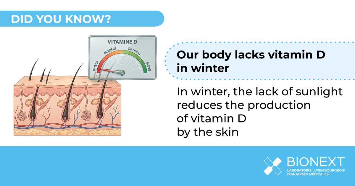 Illustration showing why the production of vitamin D by the skin decreases in winter when exposure to sunlight is low