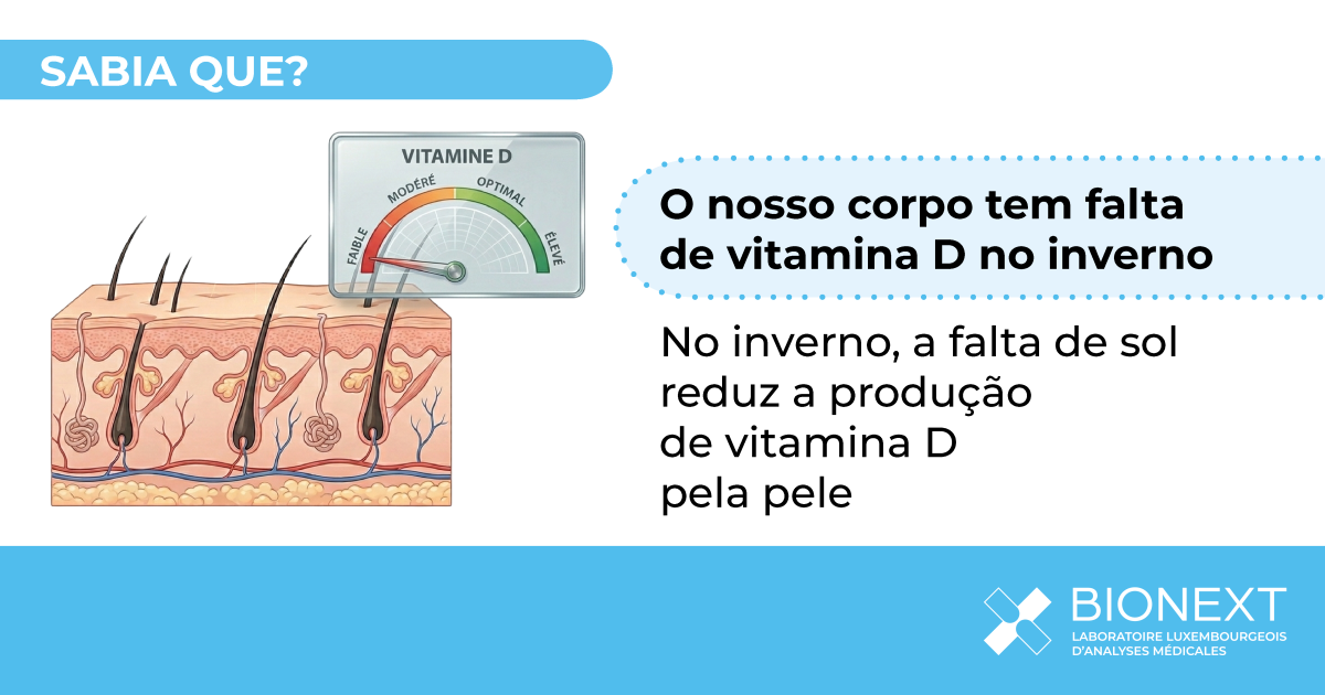 Ilustração que mostra porque a produção de vitamina D pela pele diminui no inverno quando a exposição ao sol é baixa.