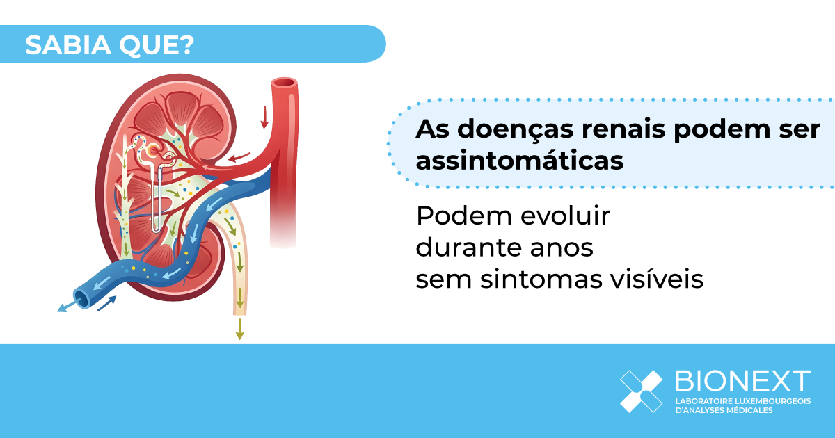 Ilustração médica de um rim explicando que as doenças renais podem evoluir por anos sem sintomas visíveis.