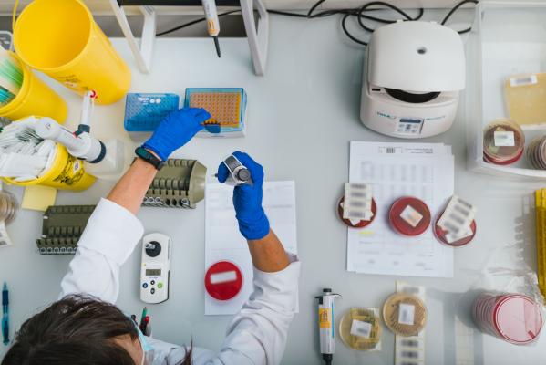 Microbiologie
