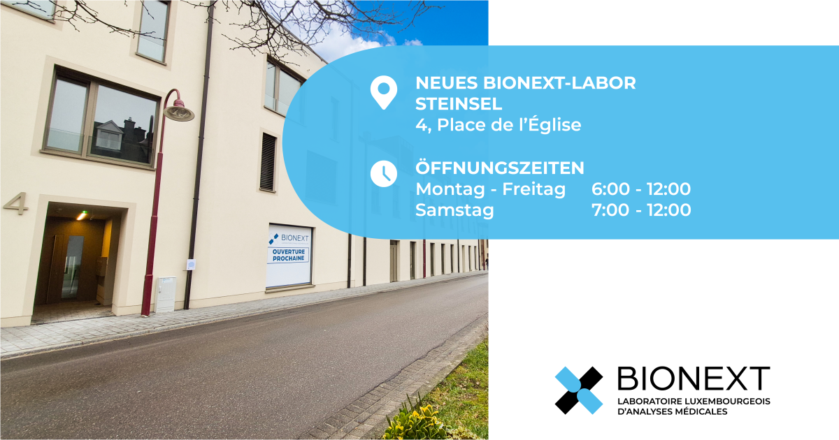 Eröffnung des Labors STEINSEL am 02.02.2026