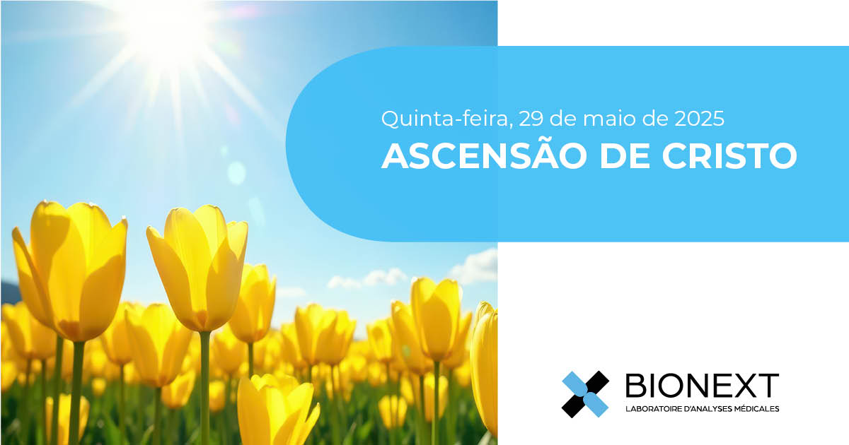 Os nossos serviços estarão encerrados na Quinta-feira, 29 de maio