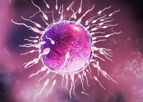 Lab news: Care of male infertility