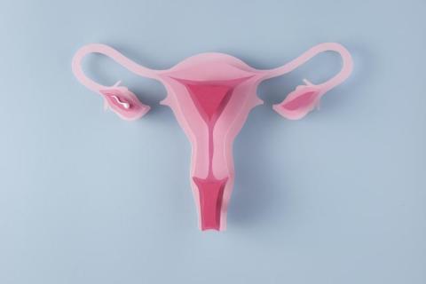 Lab news: Anti-ovarian autoantibodies