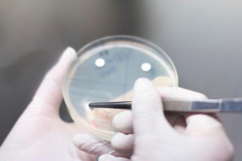 Modification of the clinical categorization of antibiotic susceptibility tests