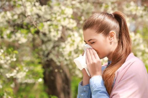 Newsletter Allergies Respiratoires