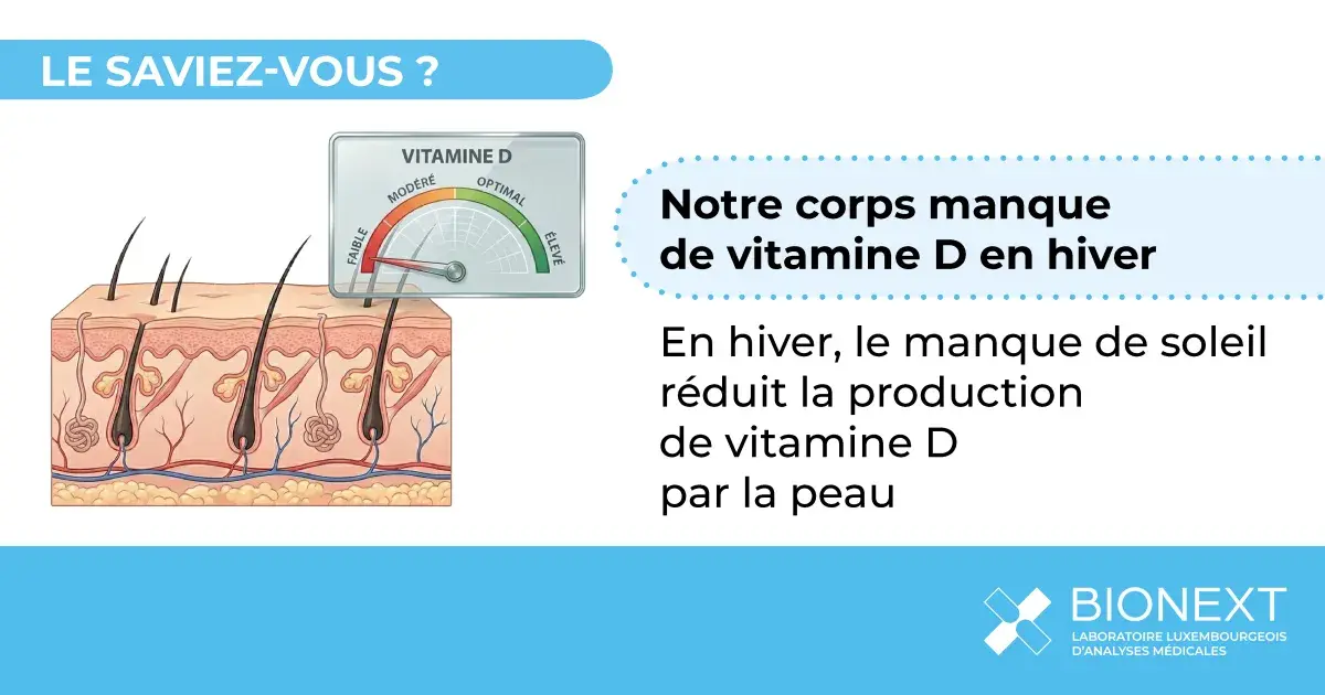 Illustration montrant pourquoi la production de vitamine D par la peau diminue en hiver lorsque l’exposition au soleil est faible