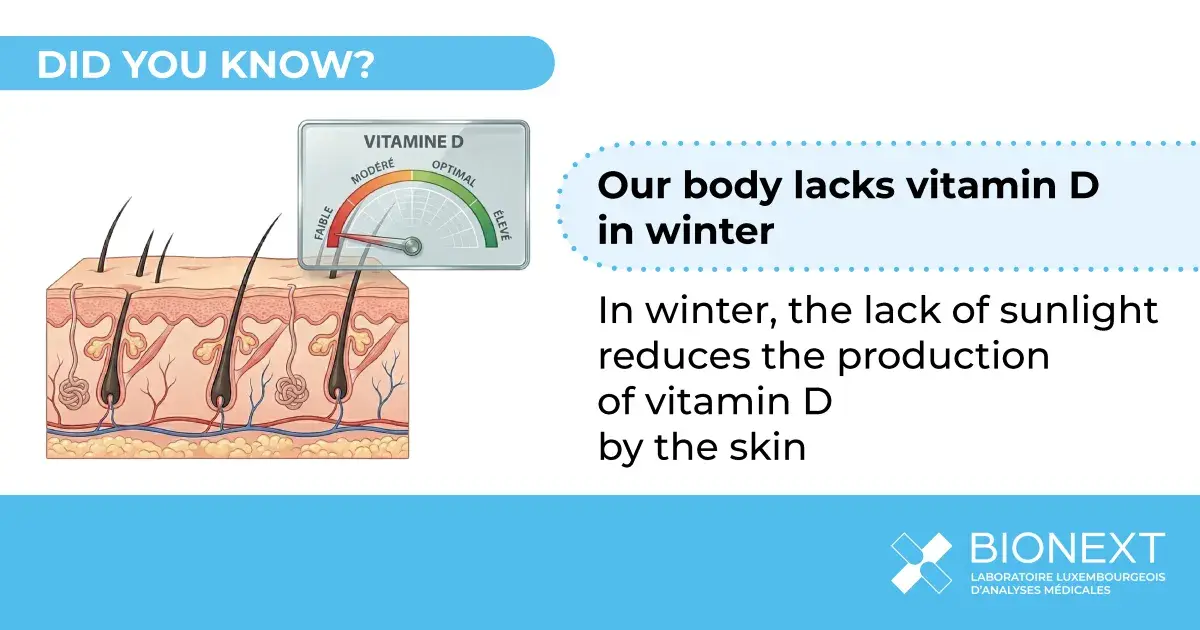 Illustration showing why the production of vitamin D by the skin decreases in winter when exposure to sunlight is low