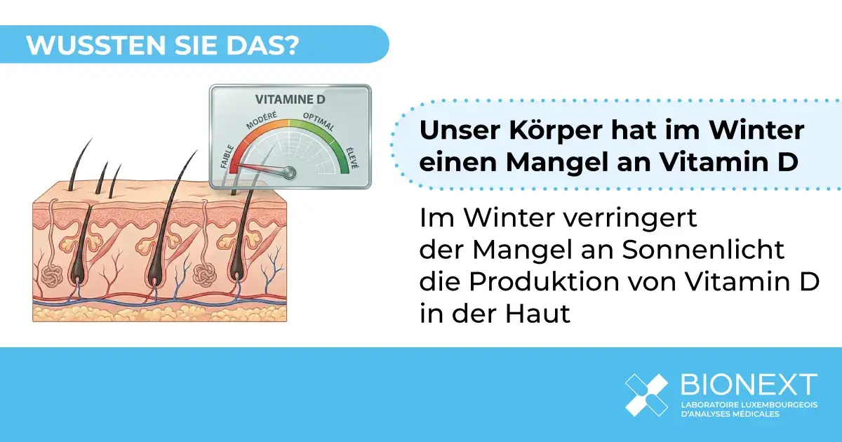 Illustration, die zeigt, warum die Produktion von Vitamin D in der Haut im Winter bei geringer Sonneneinstrahlung abnimmt.