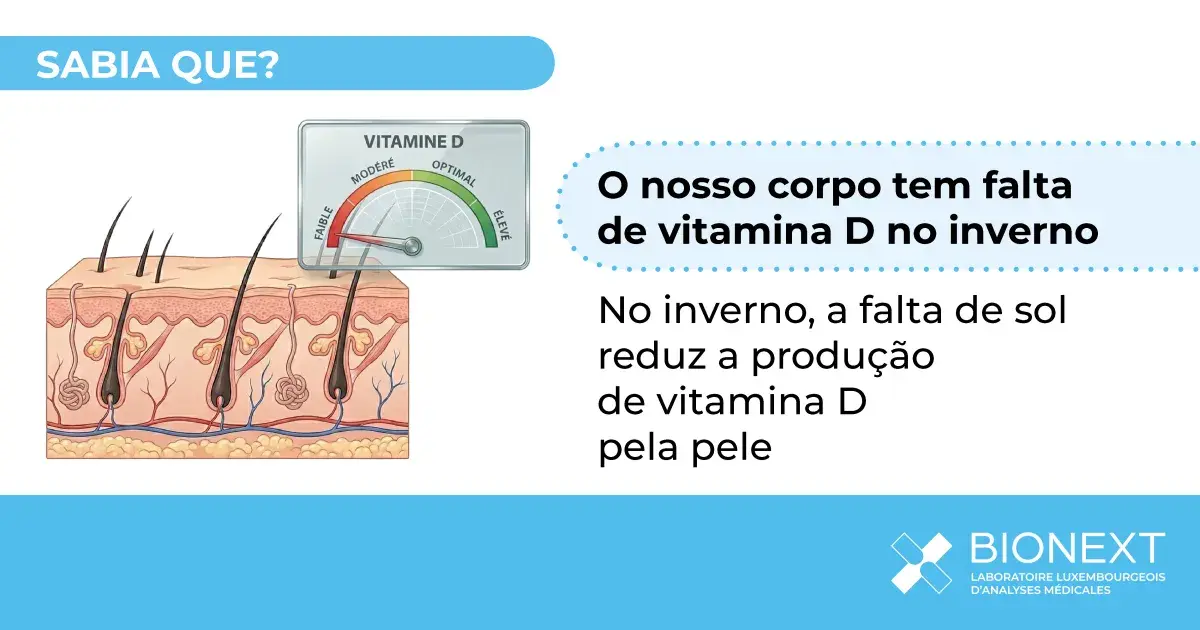 Ilustração que mostra porque a produção de vitamina D pela pele diminui no inverno quando a exposição ao sol é baixa.
