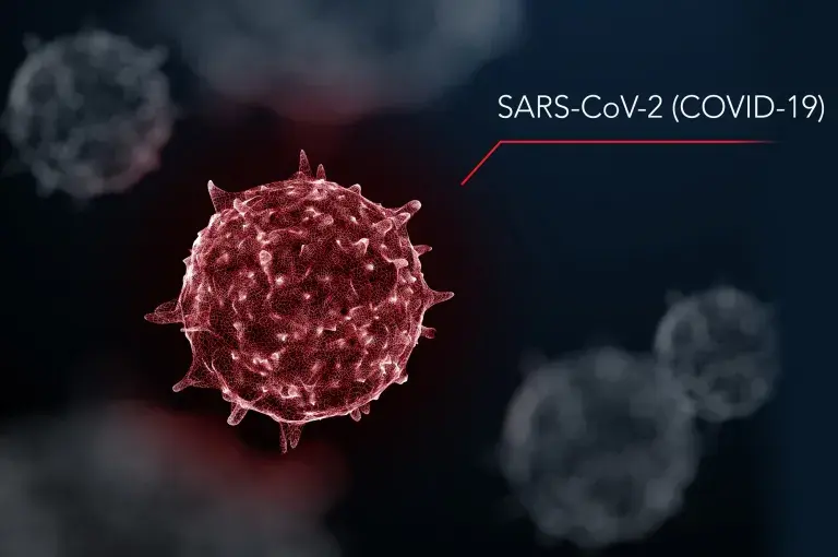 Epidémie à coronavirus (COVID-19)