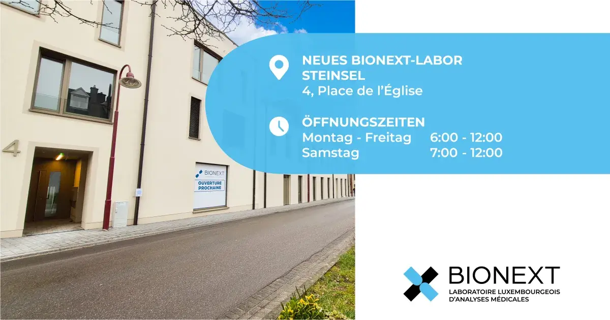 Eröffnung des Labors STEINSEL am 02.02.2026