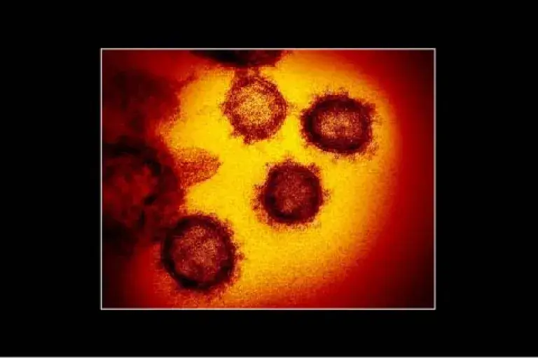 Point sur le Coronavirus 